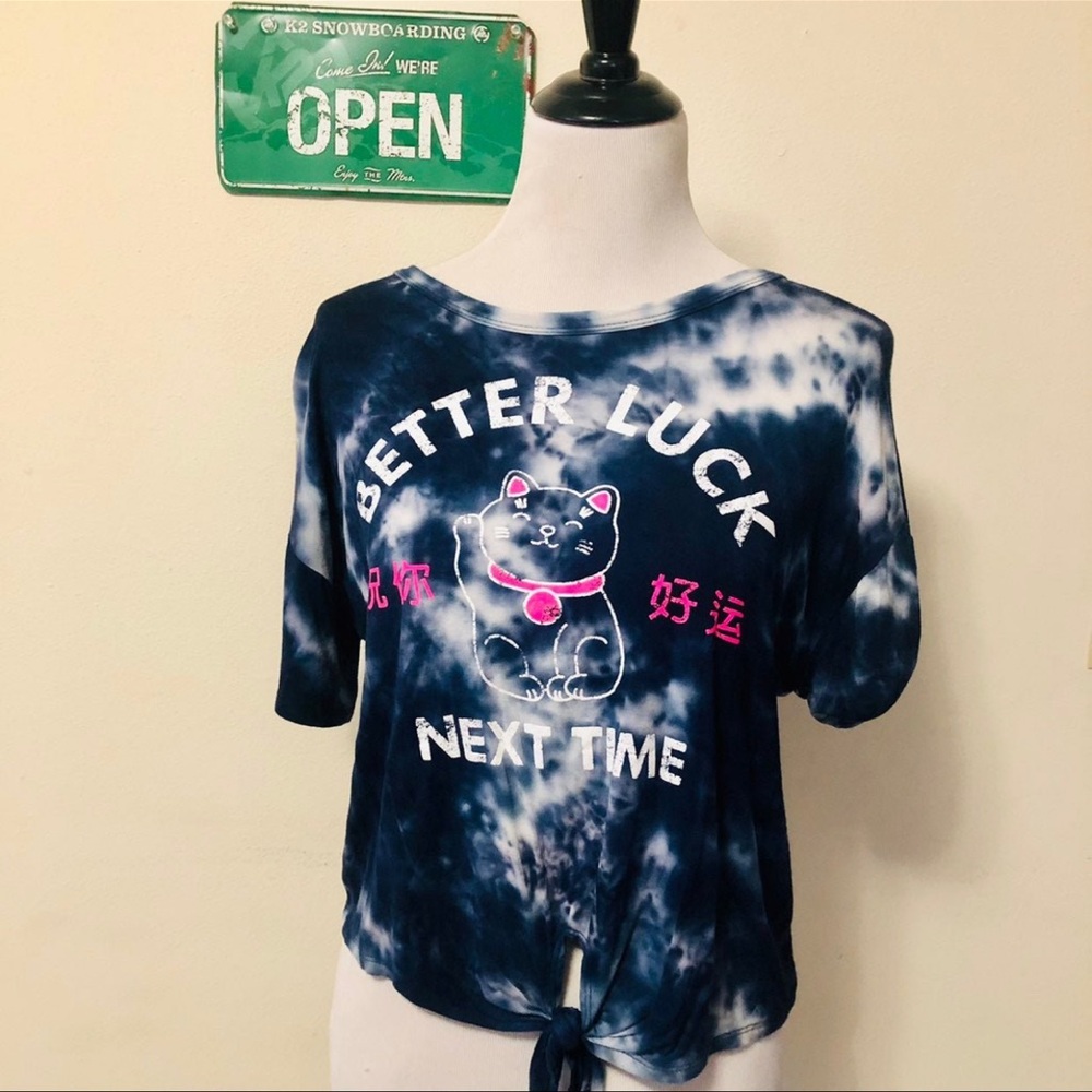 Caution To The Wind Blue and Pink Crop Top Tie-Dye
